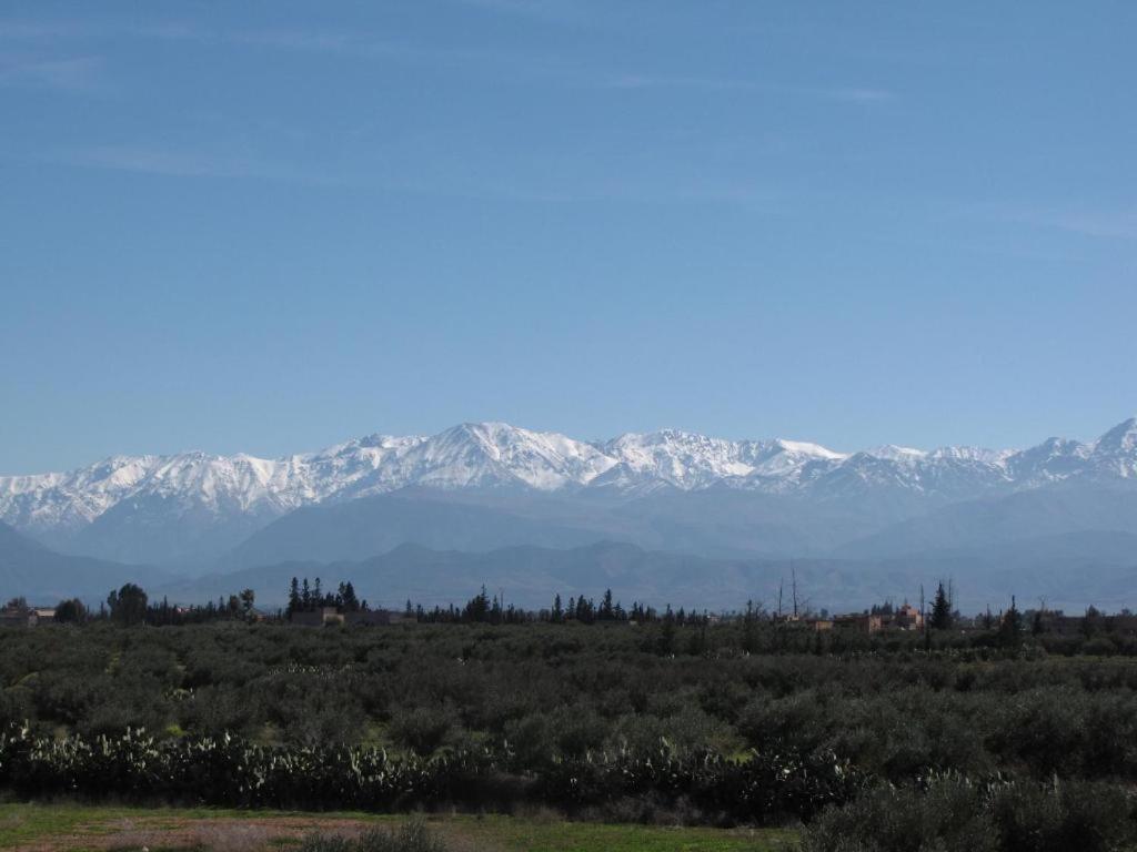 Villa Tata Marie Maison D'Hotes Marrakech Μαρακές Εξωτερικό φωτογραφία